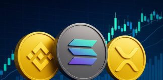 BNB Price Surge Leads Crypto Gains as Bitcoin Climbs